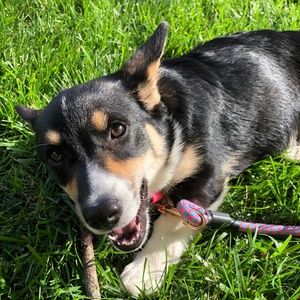 Meet your Posher, Rebecca